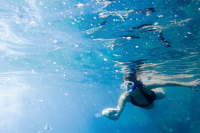 Snorkel Tour and Glass-Bottom Boat Ride in Cabo San Lucas - Lunch After the Water Stop