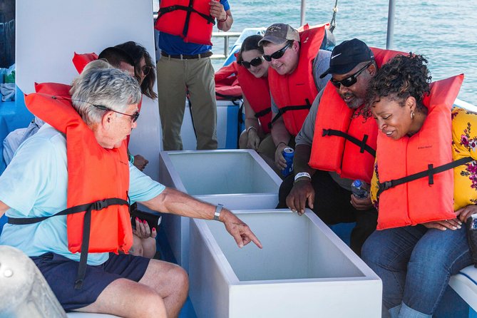 Snorkel Tour and Glass-Bottom Boat Ride in Cabo San Lucas - Booking Details That Matter