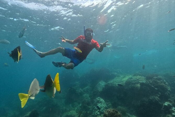 Snorkel Tour in private Trimarán in Los Cabos - What you see around El Arco and Land’s End