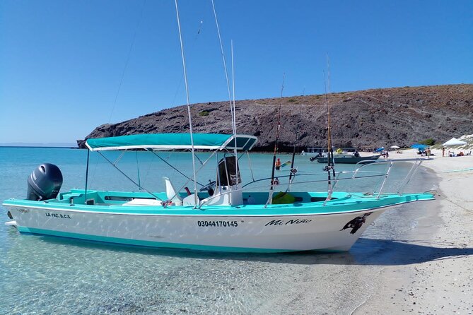 Snorkel with whale sharks includes equipment & transportation - Seeing Cabo’s Arch on the Way