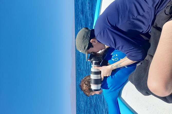 Snorkel with whale sharks includes equipment & transportation - Is $299 a Fair Price?