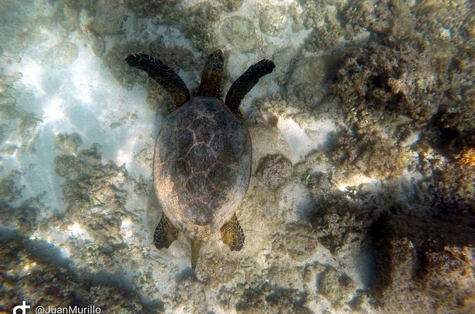 Snorkeling Adventure Cabo Pulmo - Who will enjoy this most?