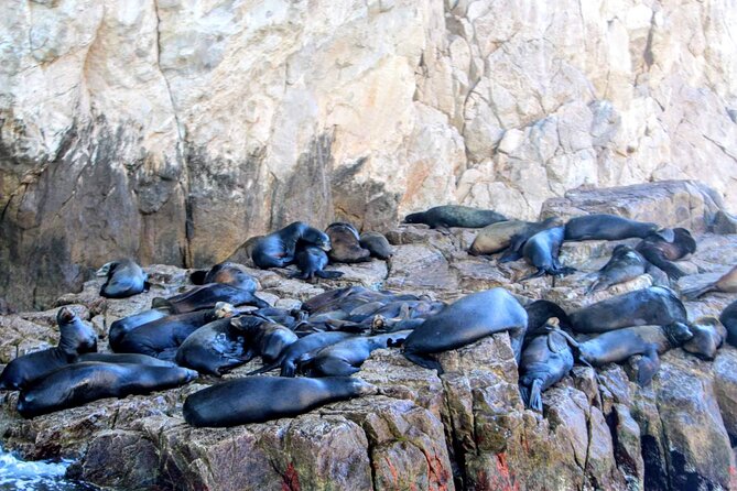 Snorkeling and whale watching Tour in Cabo - The bay cruise adds a broader view of Cabo