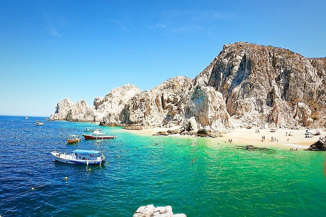 Snorkeling and whale watching Tour in Cabo - Whale and dolphin watching depends on nature