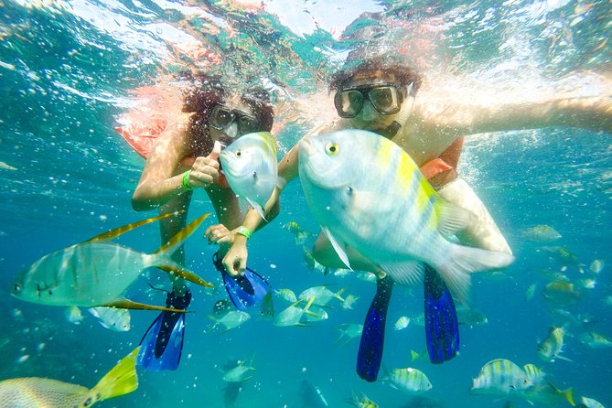 Snorkeling at Pelicans Rock - Guides who set the tone