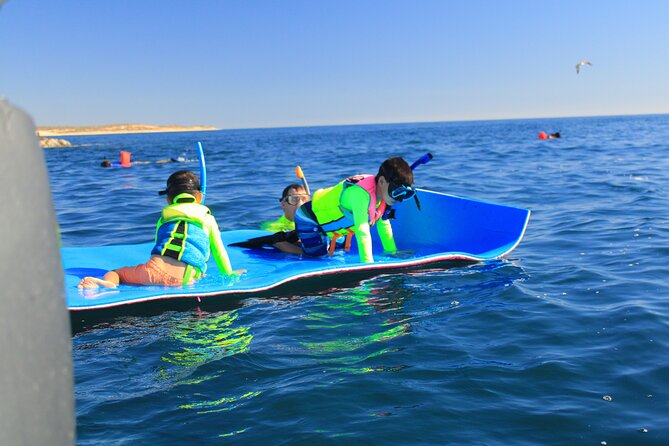 Snorkeling en San José del Cabo , Lunch , Snack , Drinks - Should you book it?