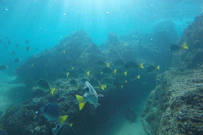 Snorkeling in Cabo San Lucas on 35' Sea Amore Trimaran - Who will enjoy this Cabo sailing trip?
