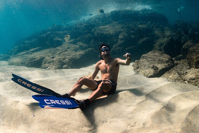 Snorkeling in San Jose del Cabo - What you see at East Cape Beach