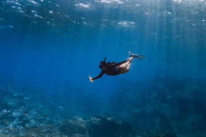 Snorkeling in San Jose del Cabo - What is included for $150