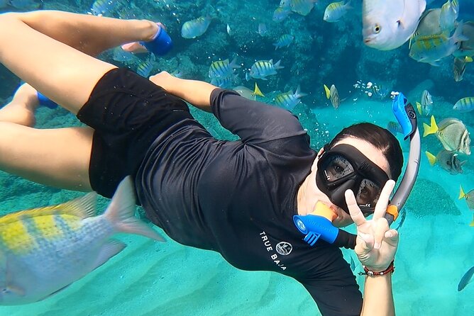 Snorkeling On Chilean Beach Transportation And Drinks Included - Why Chileno Beach works for a relaxed snorkel