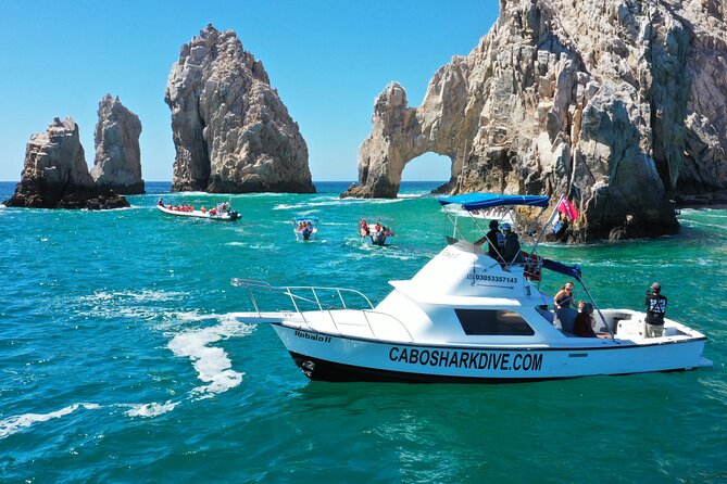 Snorkeling or Swimming with Sharks in Cabo San Lucas - What happens if the sharks do not show?