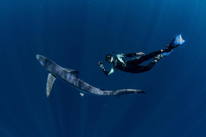 Snorkeling or Swimming with Sharks in Cabo San Lucas - Photos, snacks, and the practical extras