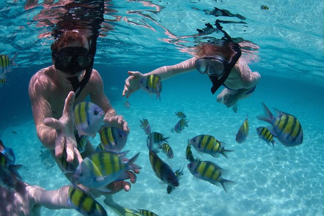 Snorkeling Tour at Land's End in Cabo San Lucas - What the Cabo outing really includes