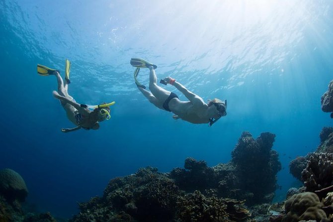 Snorkeling Tour at Land's End in Cabo San Lucas - Pelican Rock and the underwater stop