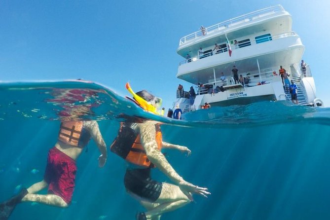 Snorkeling tour in Cabo San Lucas - What snorkeling at Chileno Bay is really like