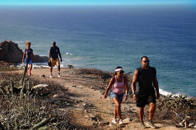 Sunrise Guided Desert Hike in Los Cabos - Who will enjoy this Cabo hike most