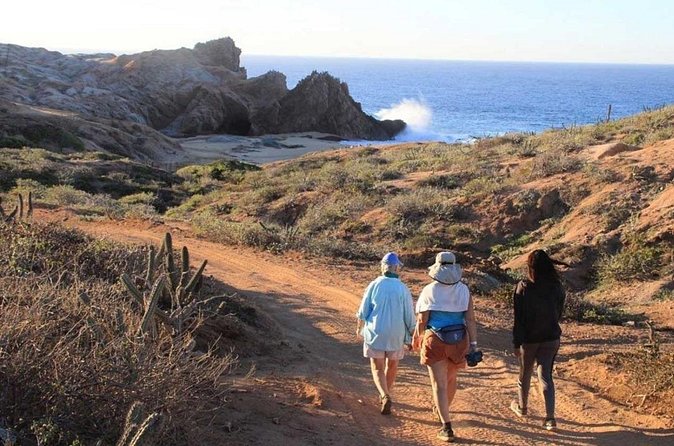 Sunrise Guided Desert Hike in Los Cabos - Practical details that affect your morning