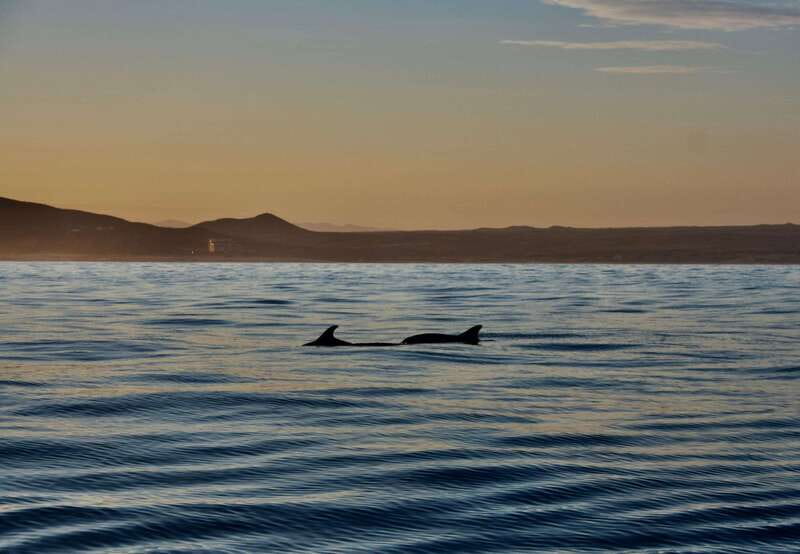 Sunset Cruise in San Jose del Cabo - What the 105-minute sightseeing route feels like