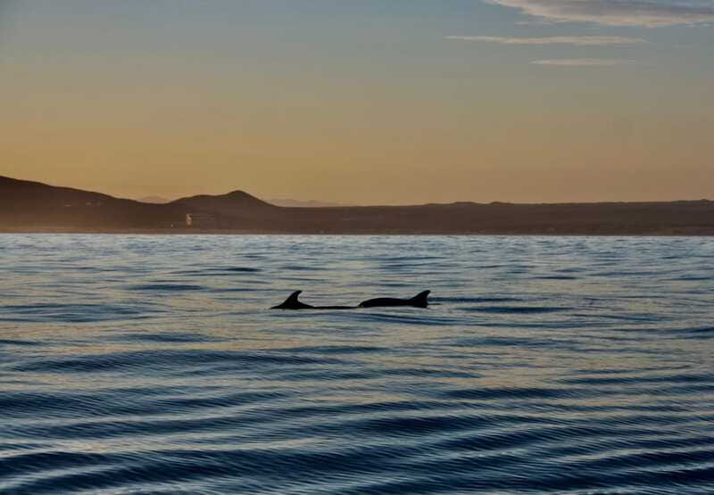 Sunset Cruise in San Jose del Cabo - Who will enjoy this cruise most?