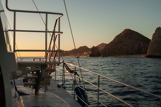 Sunset Cruise Tequila Tasting - Who should book this Cabo experience
