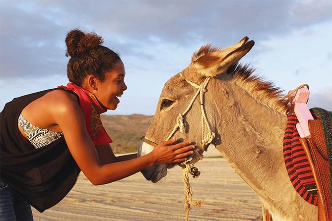 Sunset Pacific Donkey Hiking Tour - Meeting a Mexican donkey at Rancho Carisuva