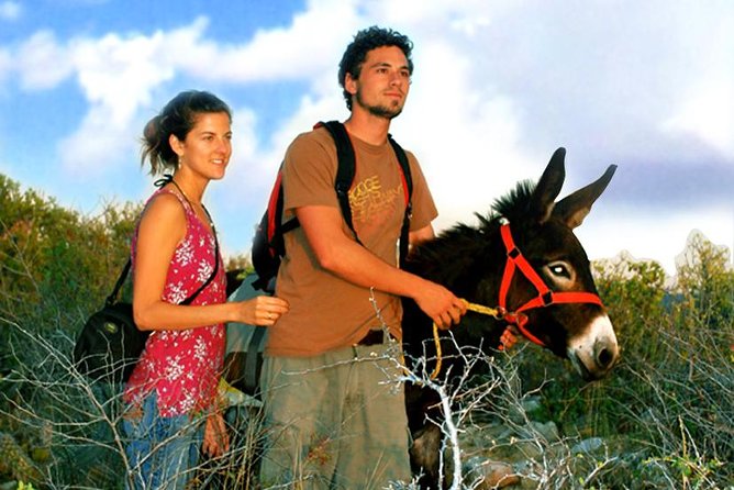 Sunset Pacific Donkey Hiking Tour - The ocean views are worth the slow pace