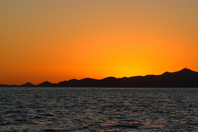 Sunset Whale Watching in San Jose del Cabo - Who Will Enjoy This Sunset Whale Cruise