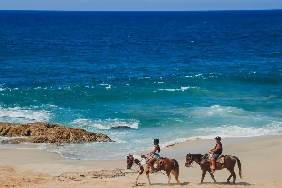 Tacos and Horseback Riding at Migriño beach - The guides can make the difference