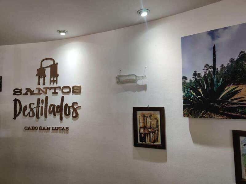Tequila & Mezcal Tasting Experience - The guide makes or breaks the experience