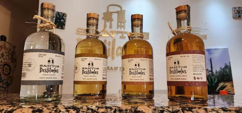 Tequila & Mezcal Tasting Experience - Who will enjoy this Cabo tasting?