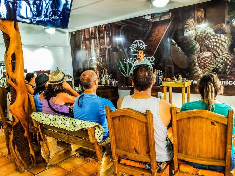 Tequila & Mezcal Tasting Experience - What you taste: tequila, mezcal, and flavored pours