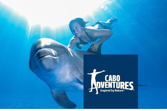 The only Natural Space Dolphin Encounter in Cabo Optional Pickup! - Meeting a bottlenose dolphin in Cabo