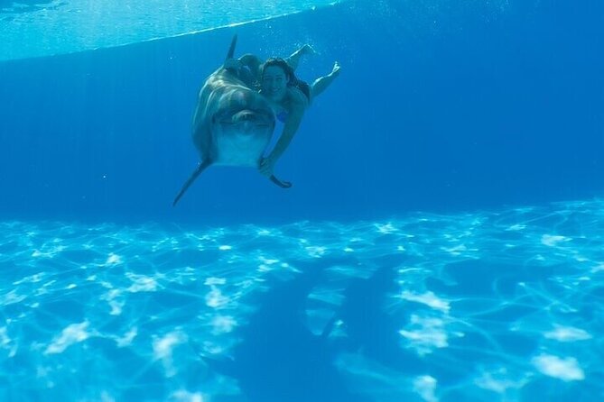 The only Natural Space Dolphin Encounter in Cabo Optional Pickup! - How the Cabo landmarks fit into the program