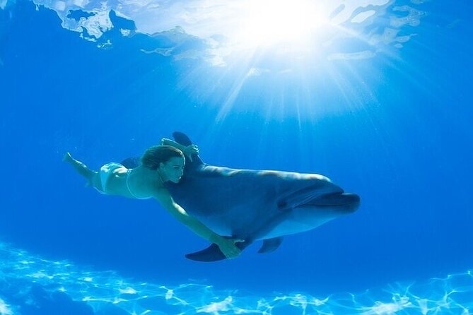 The only Natural Space Dolphin Encounter in Cabo Optional Pickup! - What the $155.37 price really covers