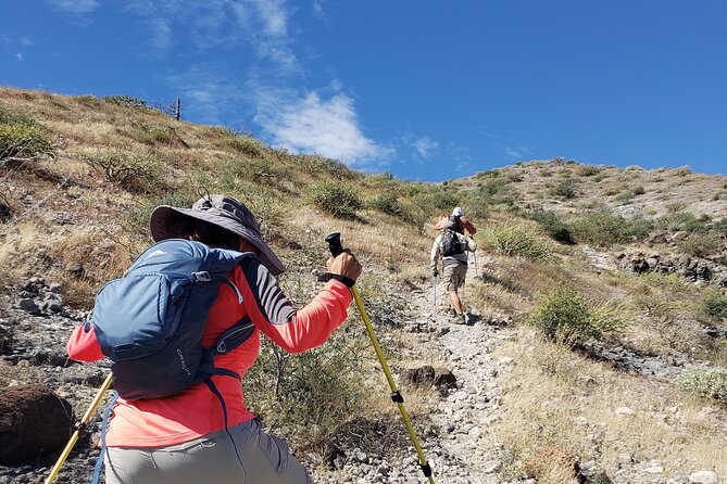 The Ultimate Camel Safari Experience in Los Cabos - Riding a Camel Beside the Pacific