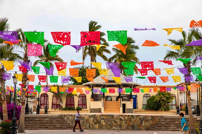 Todos Santos City Tour - Key points to know before you book