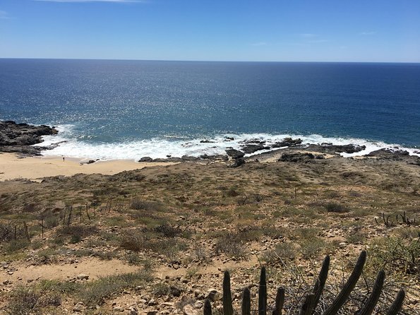 Todos Santos Day Trip from Cabo San Lucas - The pearl demonstration at The Velvet Box