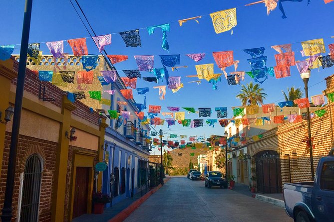 Todos Santos Day Trip from Cabo San Lucas - Tequila tasting and the flavor of the day