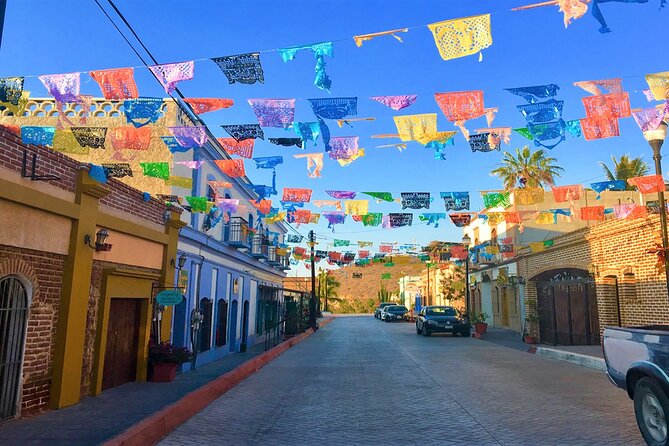 Todos Santos Magical Town Guided Tour - Fitness, clothing, and daily comfort