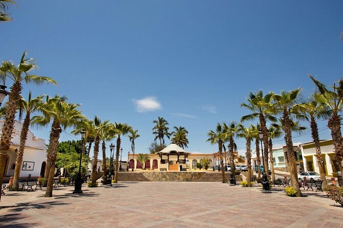 Todos Santos Private 6 hrs 1-08 paxs - A Private Ride That Works Best With Four to Eight People