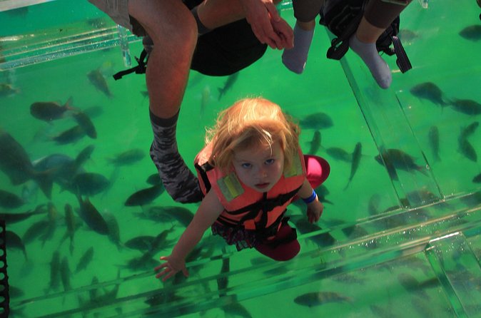 Tour to the Arch of Cabo San Lucas in a transparent glass boat - Practical details before you book