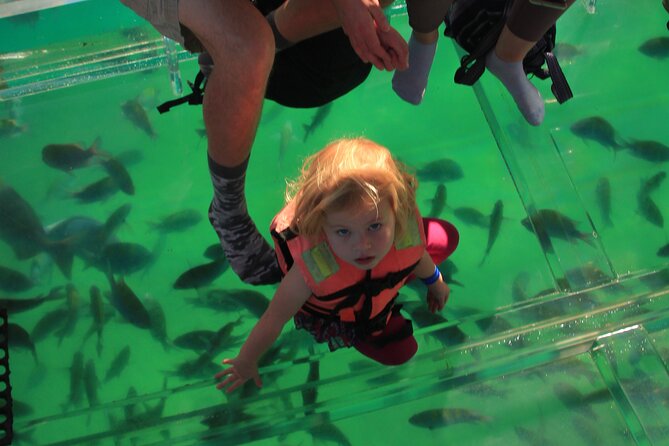 Tour to the Arch of Cabo San Lucas in a transparent glass boat - Should you book the transparent boat to Cabo San Lucas Arch?