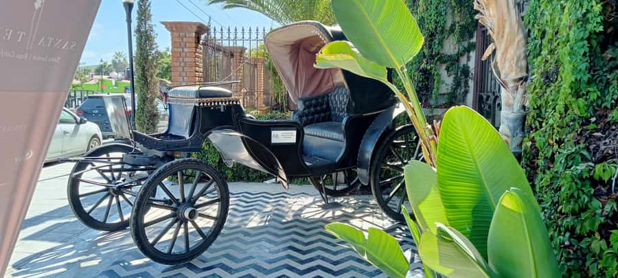 Tour Todos Santos Magical Town, Hotel California - Why Todos Santos makes a good day away from Los Cabos