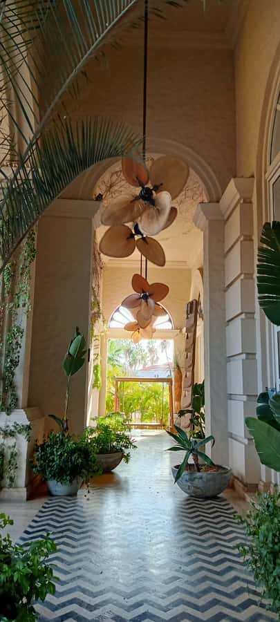 Tour Todos Santos Magical Town, Hotel California - Rico’s guiding style and the value of private travel