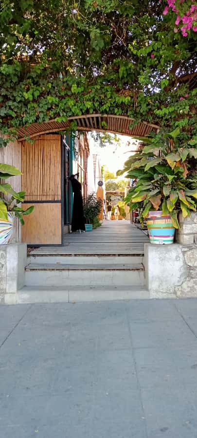 Tour Todos Santos Magical Town, Hotel California - Practical details that affect your decision