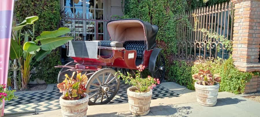 Tour Todos Santos Magical Town, Hotel California - Leaving Los Cabos in a private SUV