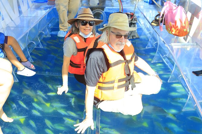 Tours in Cabo, Paseo al Arco and Fin de la Tierra in the only Clear Boat - Timing, comfort, and access