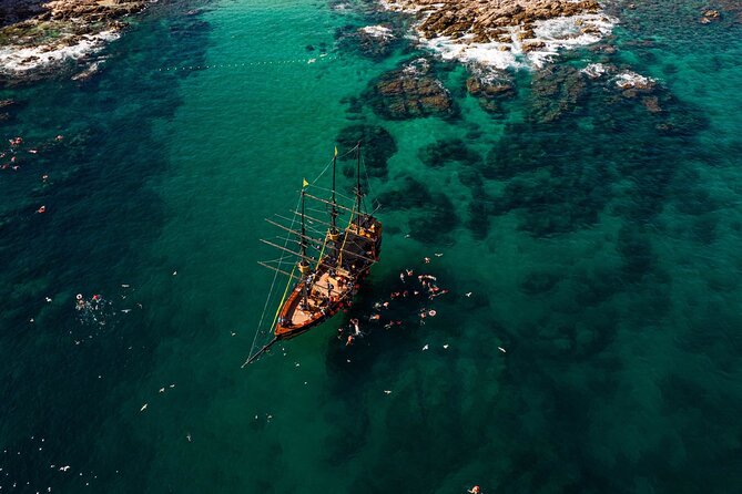 Treasure Hunt Snorkeling Lunch Cruise from Cabo San Lucas - What the snorkeling is really like