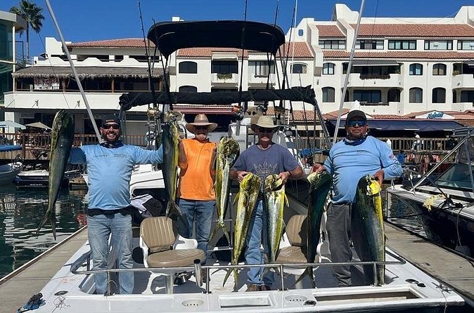 Ultimate Cabo Fishing Experience Aboard the Phantom - Wildlife beyond the fishing lines