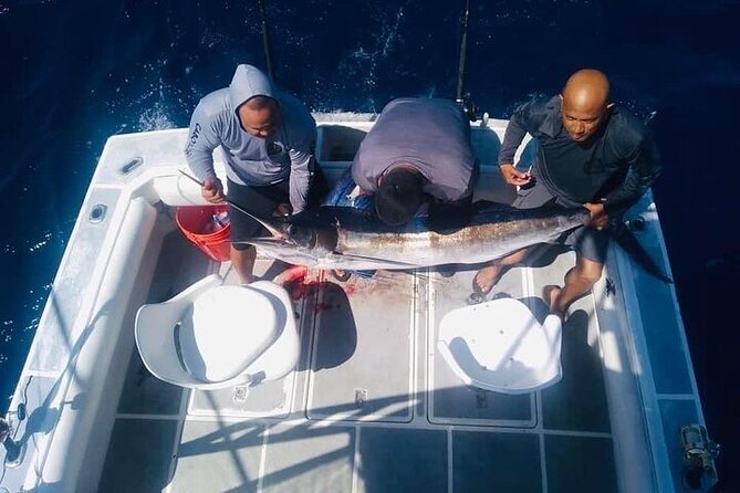 Ultimate Fishing Experience in Cabo - Leaving Cabo Marina before sunrise